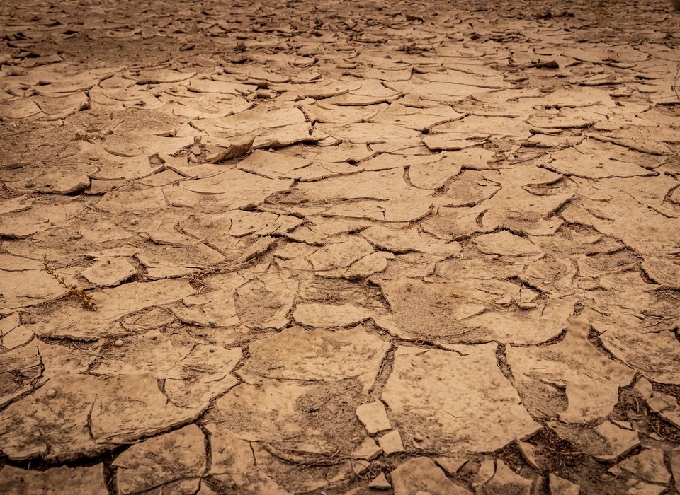 Гидрометцентр оценил почвенную засуху в Волгоградской области
